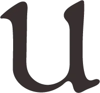 日常を彩る雑貨